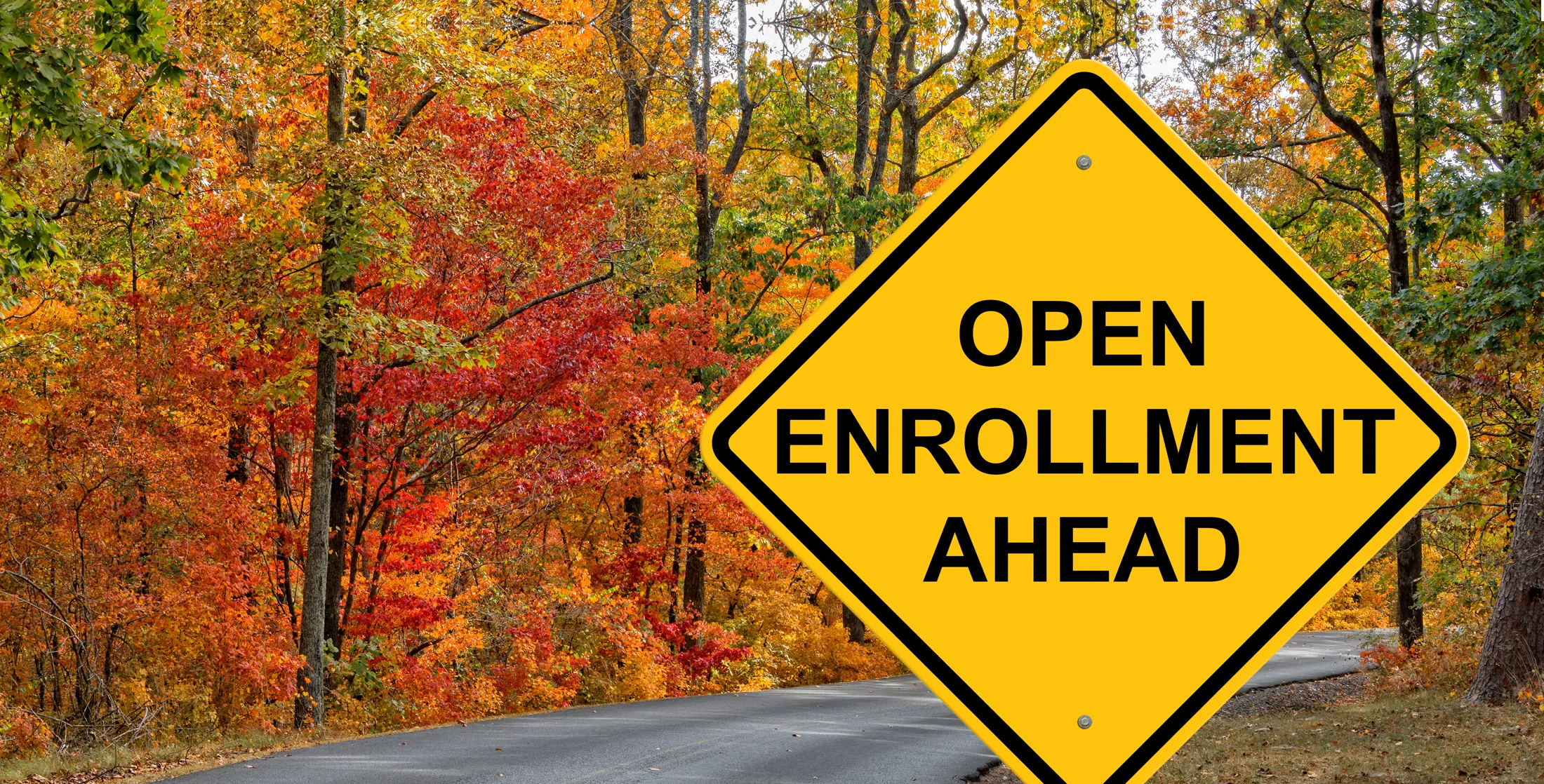 Open Enrollment Ahead sign on a country road in the fall