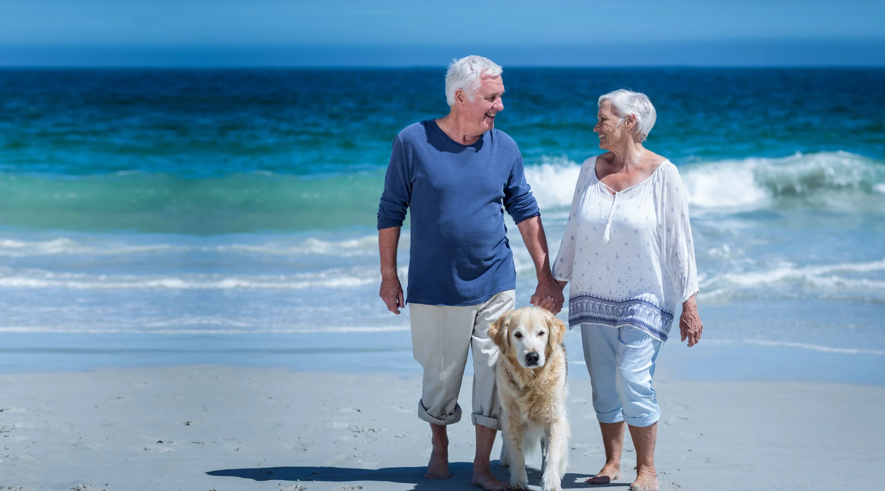 Older couple holding hands and walking on the beach with their dog